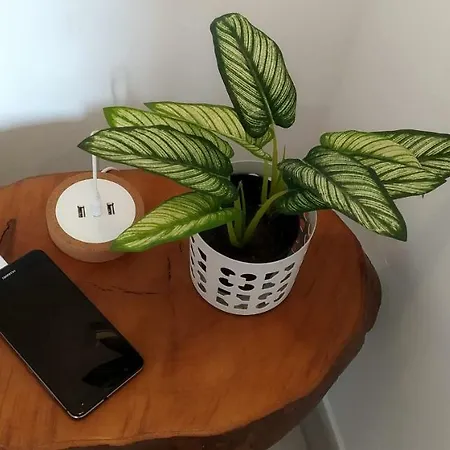 Lejlighed Golden Cliff House