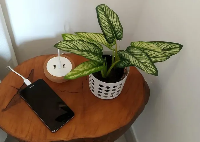 Апартаменти Golden Cliff House